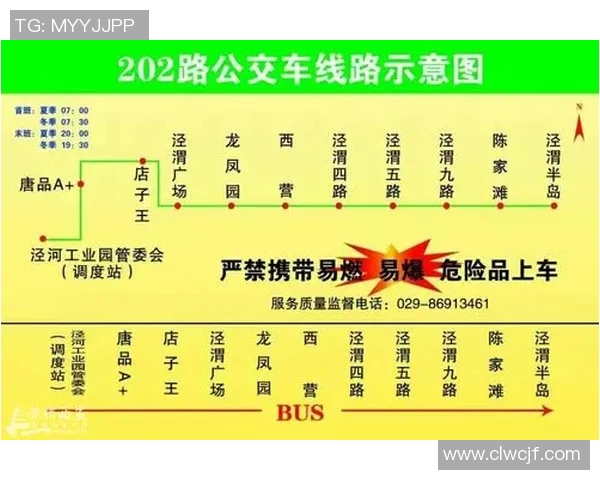 深入分析西安羽毛球队的运营策略与发展模式探讨