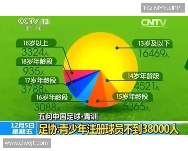 被讨厌的足球明星背后的故事与争议解析