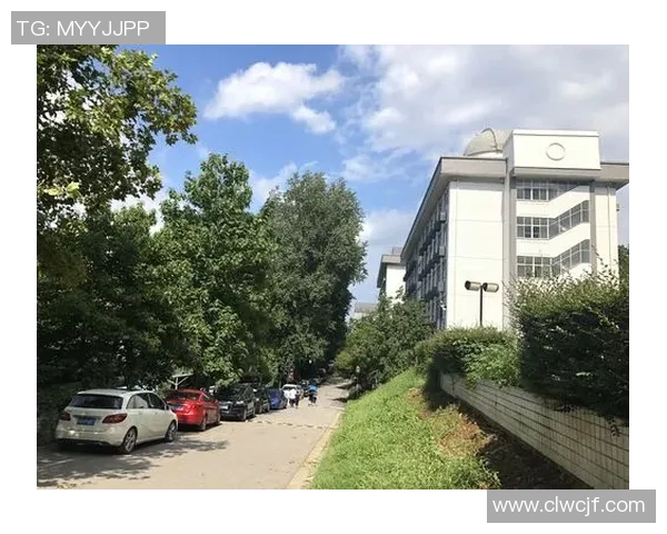 上海羽毛球队选拔赛特别报道聚焦转型之路与未来发展潜力分析