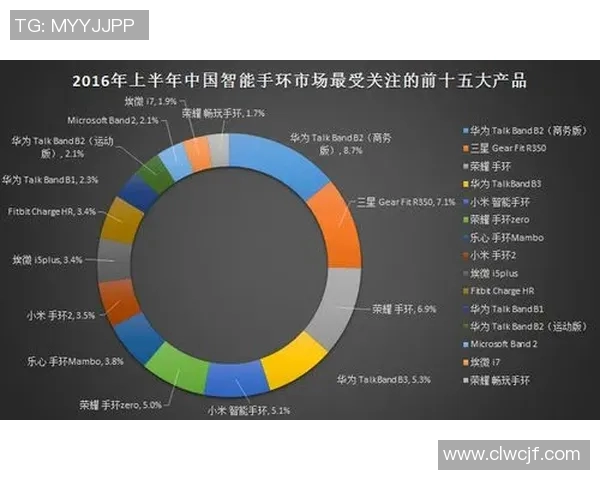 南京篮球队实力分析与赛季表现评估的深度研究与探讨