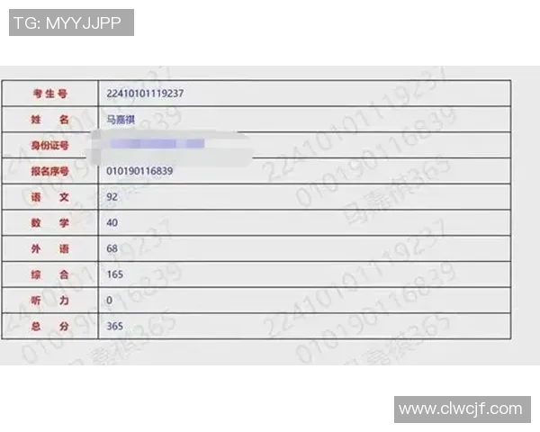 查字开头的足球明星盘点他们的成就与影响力分析