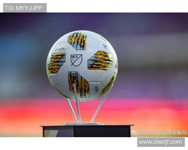 徐勇足球：从草根到职业的奋斗历程与未来发展展望