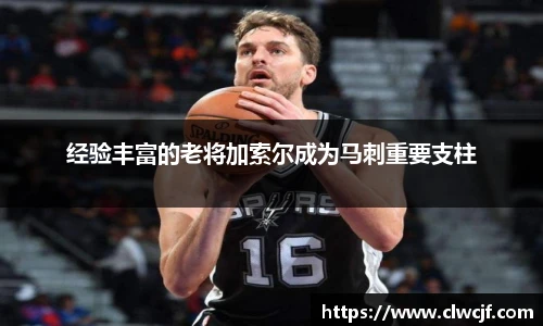 经验丰富的老将加索尔成为马刺重要支柱